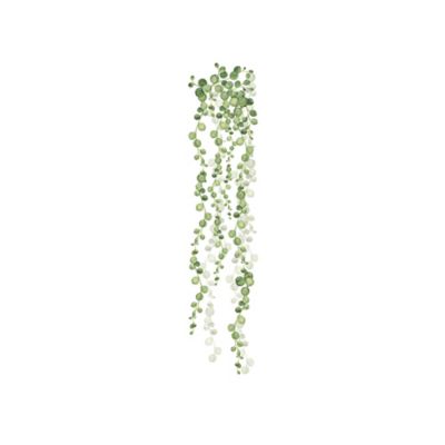 Image showing  Green & White String Of Pearls Vine Wall Decals