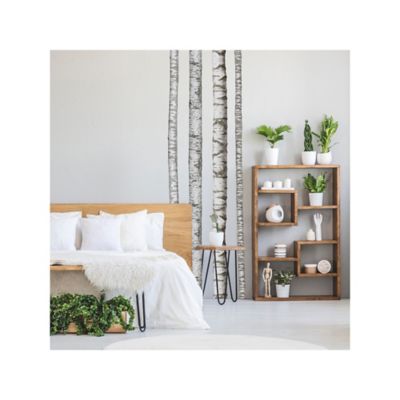 Image showing  White & Brown & Tan Realistic Birch Trees Giant Wall Decals