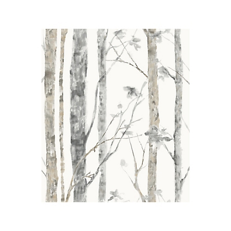 RoomMates White & Brown Birch Trees Peel & Stick Wallpaper