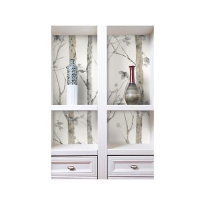 Image showing  White & Brown Birch Trees Peel & Stick Wallpaper