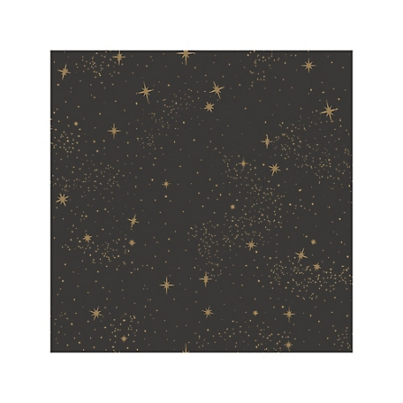 RoomMates Upon A Star Peel & Stick Wallpaper, Black