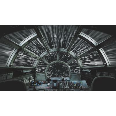RoomMates Black & Grey Star Wars Millennium Falcon Wall Mural