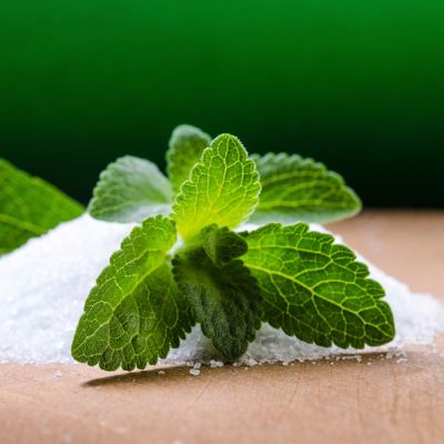 Image showing  Stevia, Live Plant, 19.3 oz.