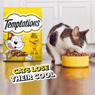 Image showing 6 th Temptations Adult Indoor/Outdoor Tasty Chicken Recipe Dry Cat Food
