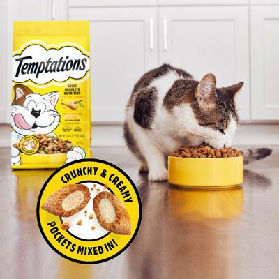 Image showing 6 th Temptations Adult Indoor/Outdoor Tasty Chicken Recipe Dry Cat Food