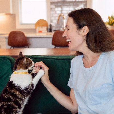 Image showing 7 th Temptations Adult Indoor/Outdoor Tasty Chicken Recipe Dry Cat Food