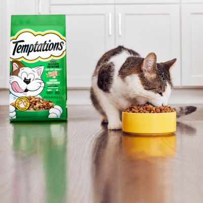 Image showing 6 th Temptations Adult Indoor/Outdoor Seafood Medley Recipe Dry Cat Food