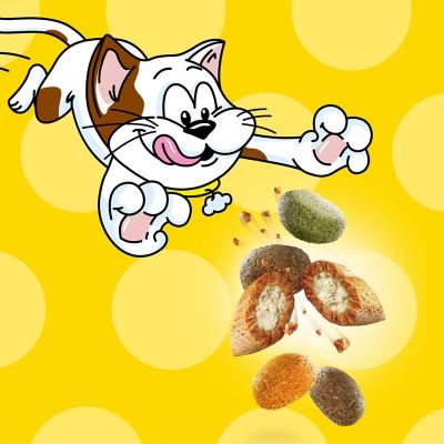 Image showing 9 th Temptations Adult Indoor/Outdoor Seafood Medley Recipe Dry Cat Food