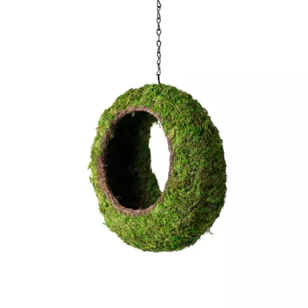 SuperMoss Moss Sunrise Bird Feeder 12-in x 5-in Hanging Baskets