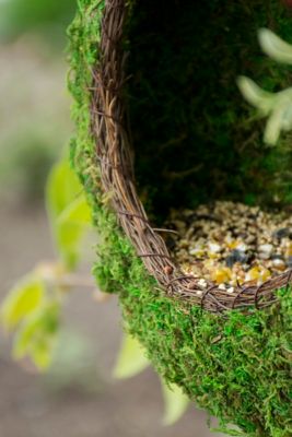 Image showing  Moss Sunrise Bird Feeder, 12 in. x 5 in.