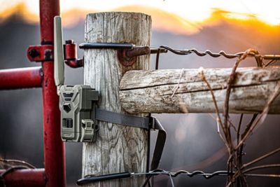 Image showing  Flex-M AT&T/Verizon Cellular Trail Camera Twin Pack