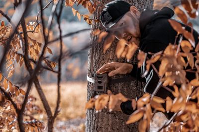 Image showing 5 th SPYPOINT Flex-M AT&T/Verizon Cellular Trail Camera Twin Pack