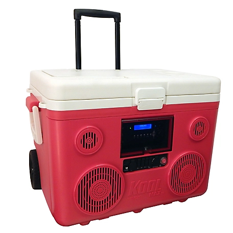 Tunes2Go Audio Cooler, Bluetooth PA System and Power Station