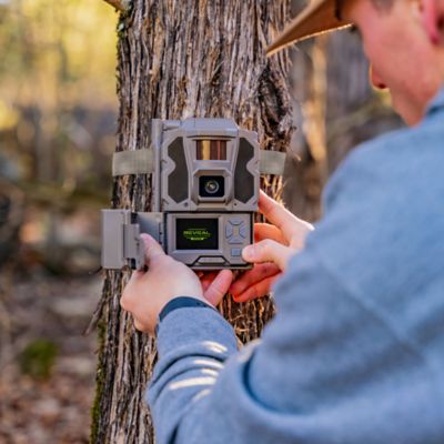 Image showing 6 th Reveal by Tactacam Pro 3.0 Cellular Trail Camera, FHD Video, 4K Photo Quality