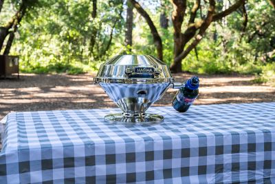 Image showing  1-Burner Beach Fire Propane Gas Grill, Silver