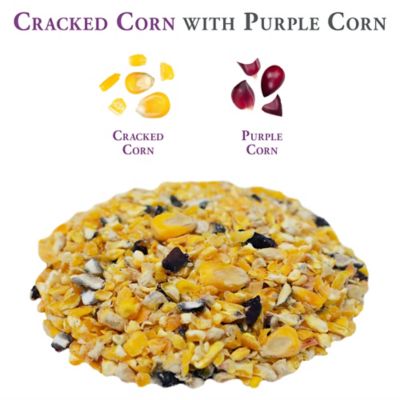 Image showing  Cracked Corn with Purple Corn Poultry Feed, 10 lb. Bag