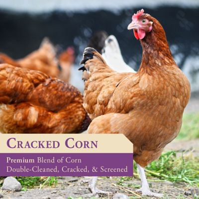 Image showing  Cracked Corn with Purple Corn Poultry Feed, 10 lb. Bag