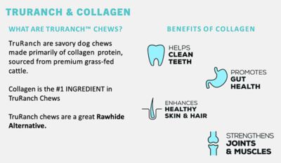 Image showing  Medium Colla-Rolls Bully and Collagen Recipe Dog Chews, 4 pk.