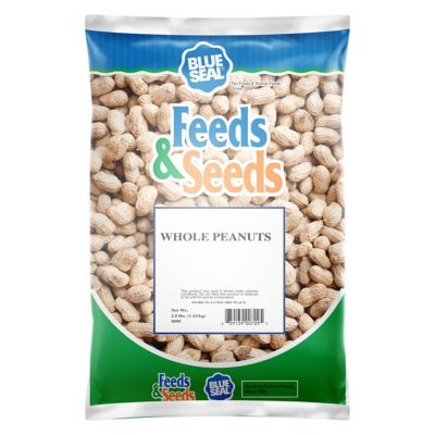 Blue Seal Peanuts in Shell-2.5 lb. bag