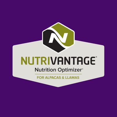 Image showing  Home Fresh Camelid Pelleted Alpaca and Llama Feed, 50 lb. Bag