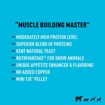 Image showing  Feeds Showboss Final Drive Livestock Show Supplement, 25 lb.