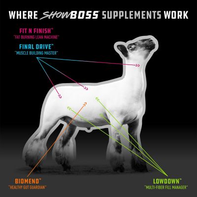 Image showing 7 th Kent Feeds Showboss Final Drive Livestock Show Supplement, 25 lb.