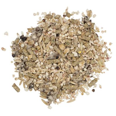 Image showing  Feeds Showboss Lowdown