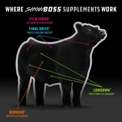 Image showing 5 th Kent Feeds Showboss Lowdown, 40 lb.
