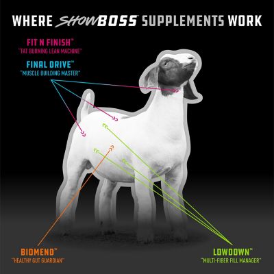 Image showing 6 th Kent Feeds Showboss Lowdown, 40 lb.