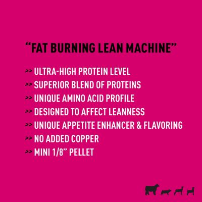 Image showing  Feeds Showboss Fit N Finish Livestock Supplement