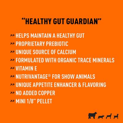 Image showing  Showboss Biomend