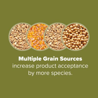Image showing  40 lb. Wildlife Grains