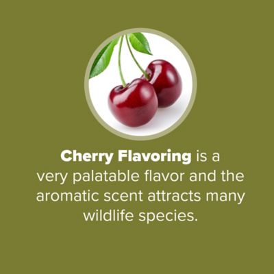 Image showing  40 lb. Wildlife Grains