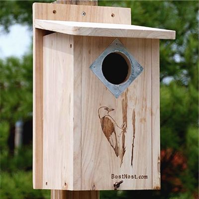 BestNest Classic Three-Woodpecker House, 10 in. x 9 in. x 16 in.