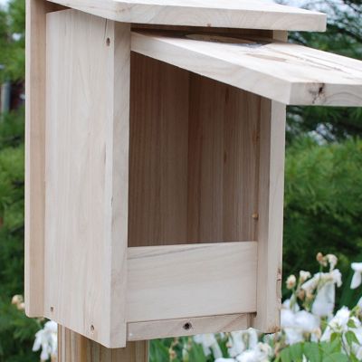 Image showing 3 th BestNest Classic Three-Woodpecker House, 10 in. x 9 in. x 16 in.