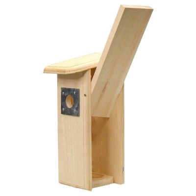 Image showing  Downy Woodpecker House