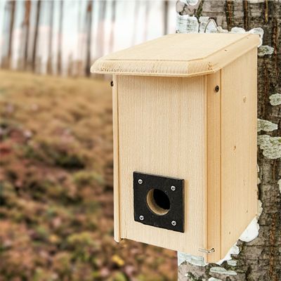 Coveside Convertible Bird House/Winter Roost