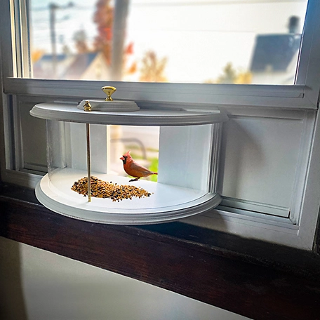 Clear View Open Diner Window Bird Feeder