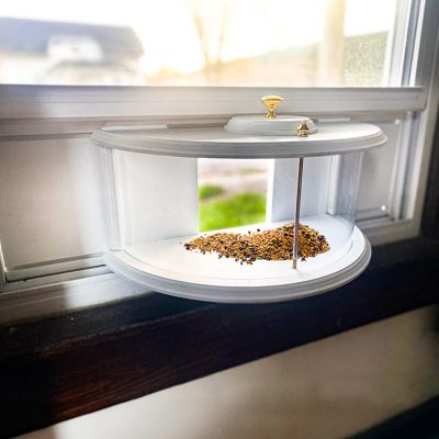 Image showing  1 qt. ClearView Window Bird Feeder