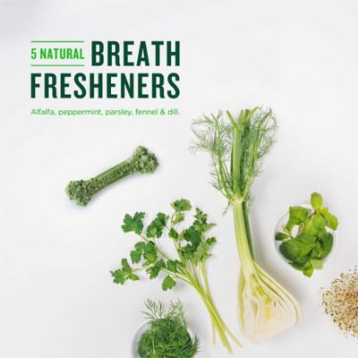 Image showing 5 th Minties Dental Bone Dog Treats, Large, 32 oz.