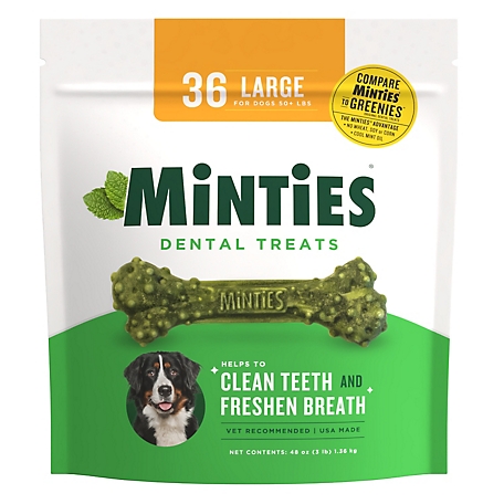 Minties Dental Bone Large Dog Treats, 48 oz.