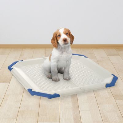 Image showing  PAW TRAX Dog Potty Pad Holder