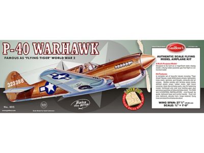 Image showing  P-40 Warhawk Laser Cut Model Kit