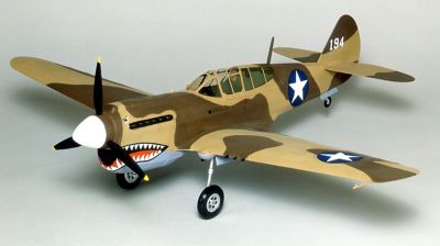 Image showing  P-40 Warhawk Laser Cut Model Kit