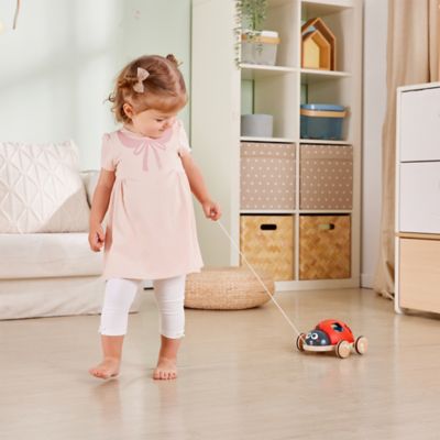 Image showing  Shape Sorter Pull-Along Ladybug - Wooden Toddler Toy