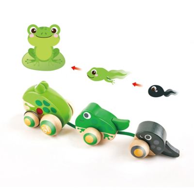 Image showing  Pull-Along Frog Family - Wooden Toddler Toy, Ages 12 mo+