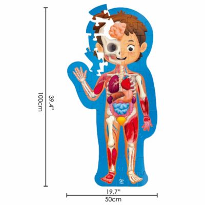 Image showing  Human Body Puzzle - 60 Oversized Pieces - Anatomy Jigsaw
