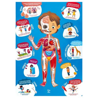 Image showing  Human Body Puzzle - 60 Oversized Pieces - Anatomy Jigsaw