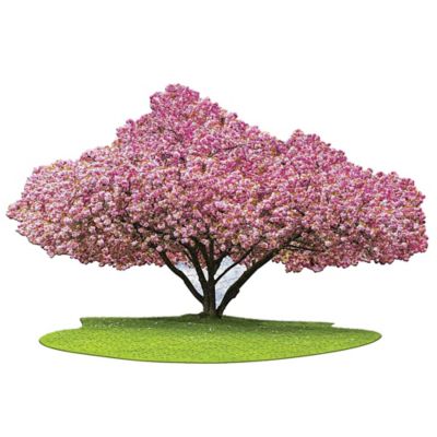 Image showing  I Am Cherry Blossom - 1000 pc. Tree Shaped Jigsaw Puzzle