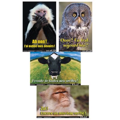 Poster Pals French Educational & Language Teaching Fun Photo Posters